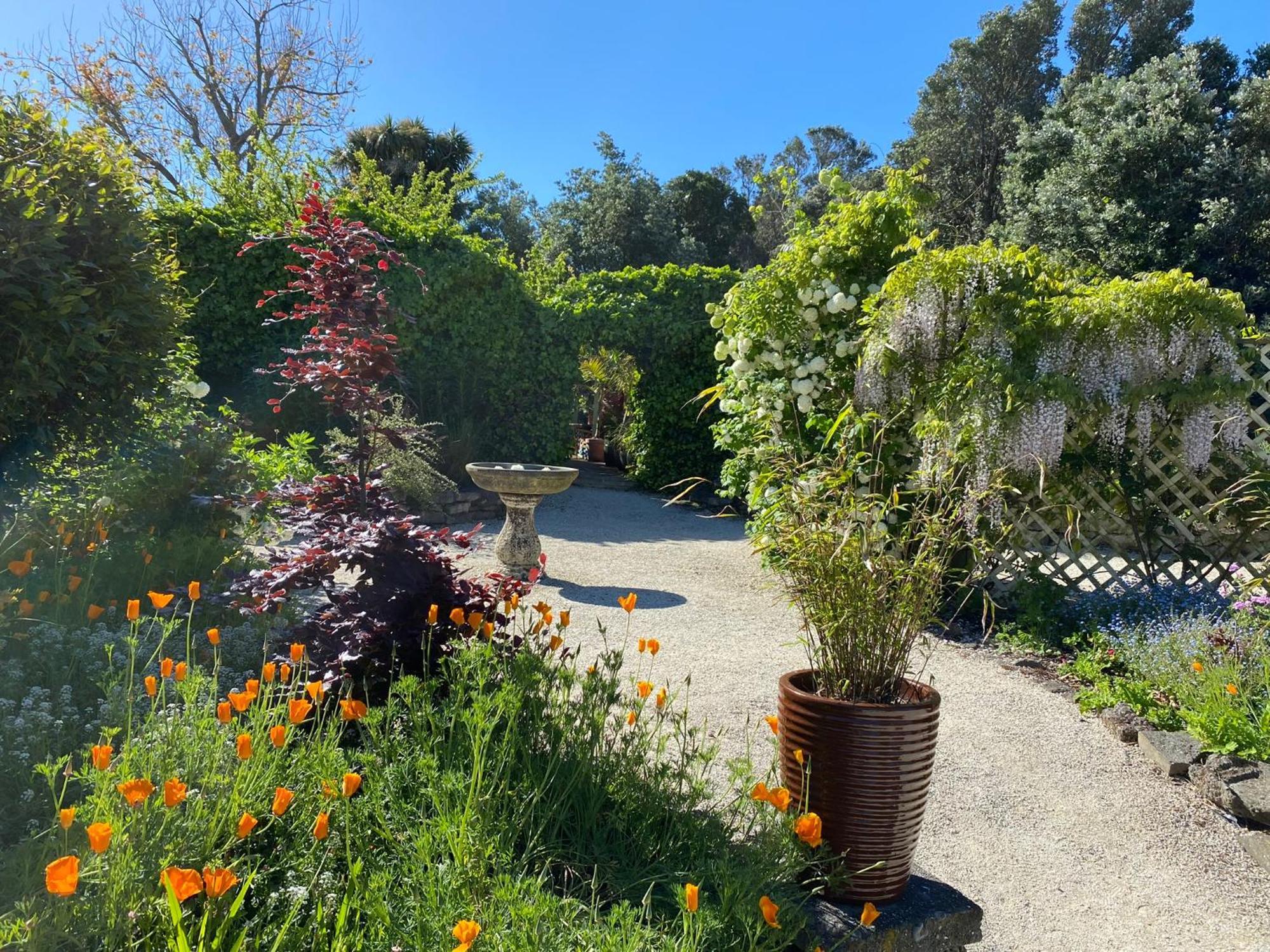 Glascroft Gardens - Bed & Breakfast Patea Exteriör bild