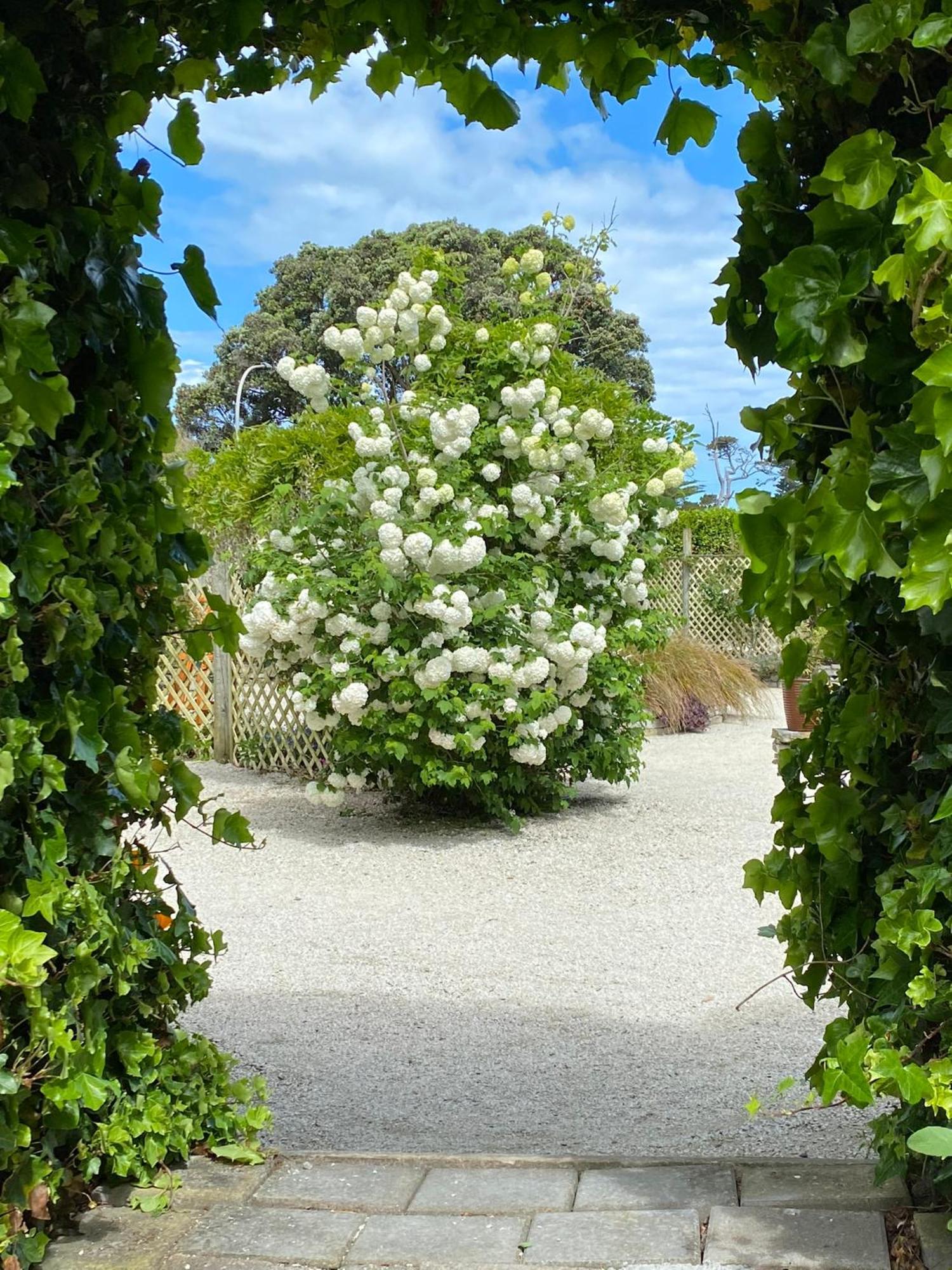 Glascroft Gardens - Bed & Breakfast Patea Exteriör bild